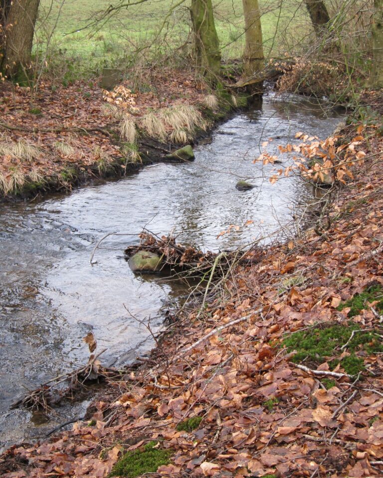 Geistiges Heilen